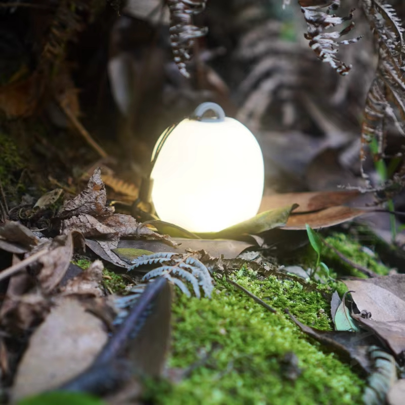 Mini Egg-Shaped Squeeze Silico - огляд і ціна Camping Cooking Container